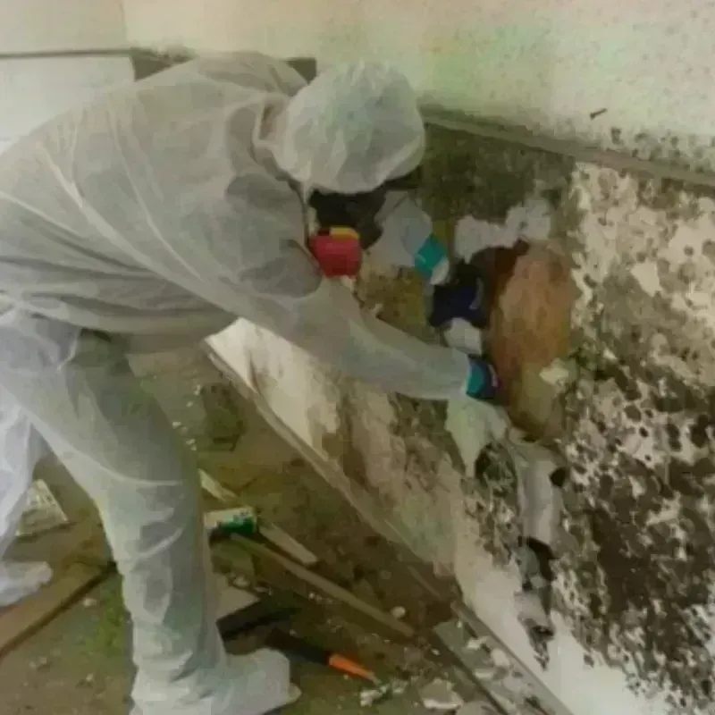 Mold Remediation and Removal in Bladenboro, NC