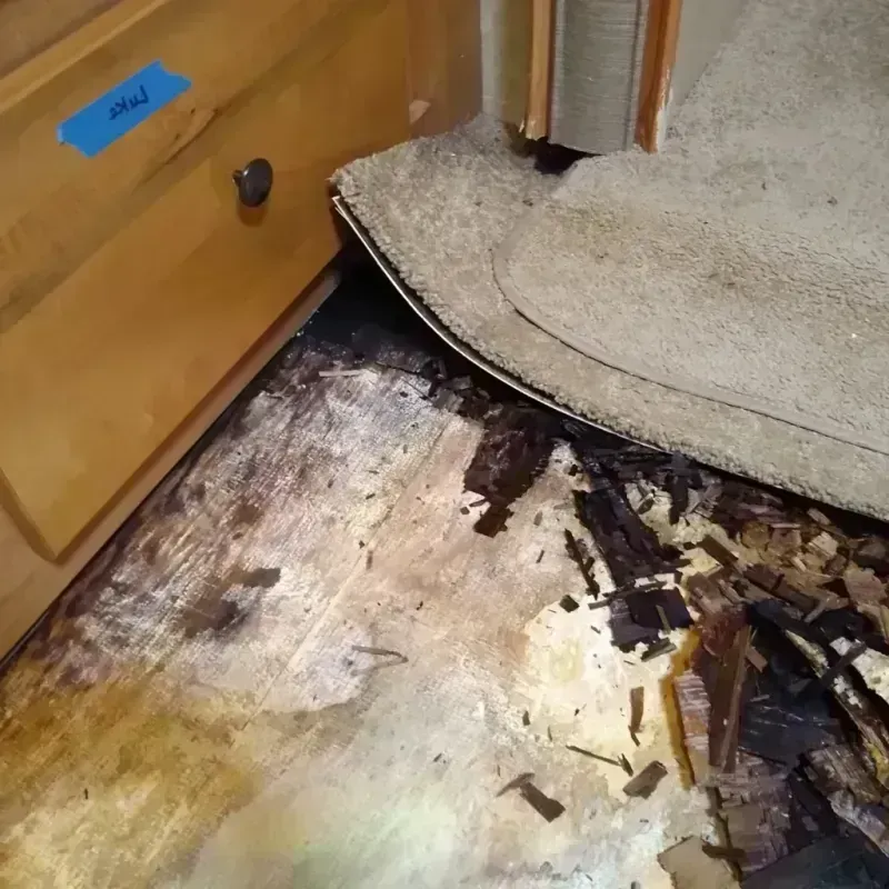 Wood Floor Water Damage in Bladenboro, NC